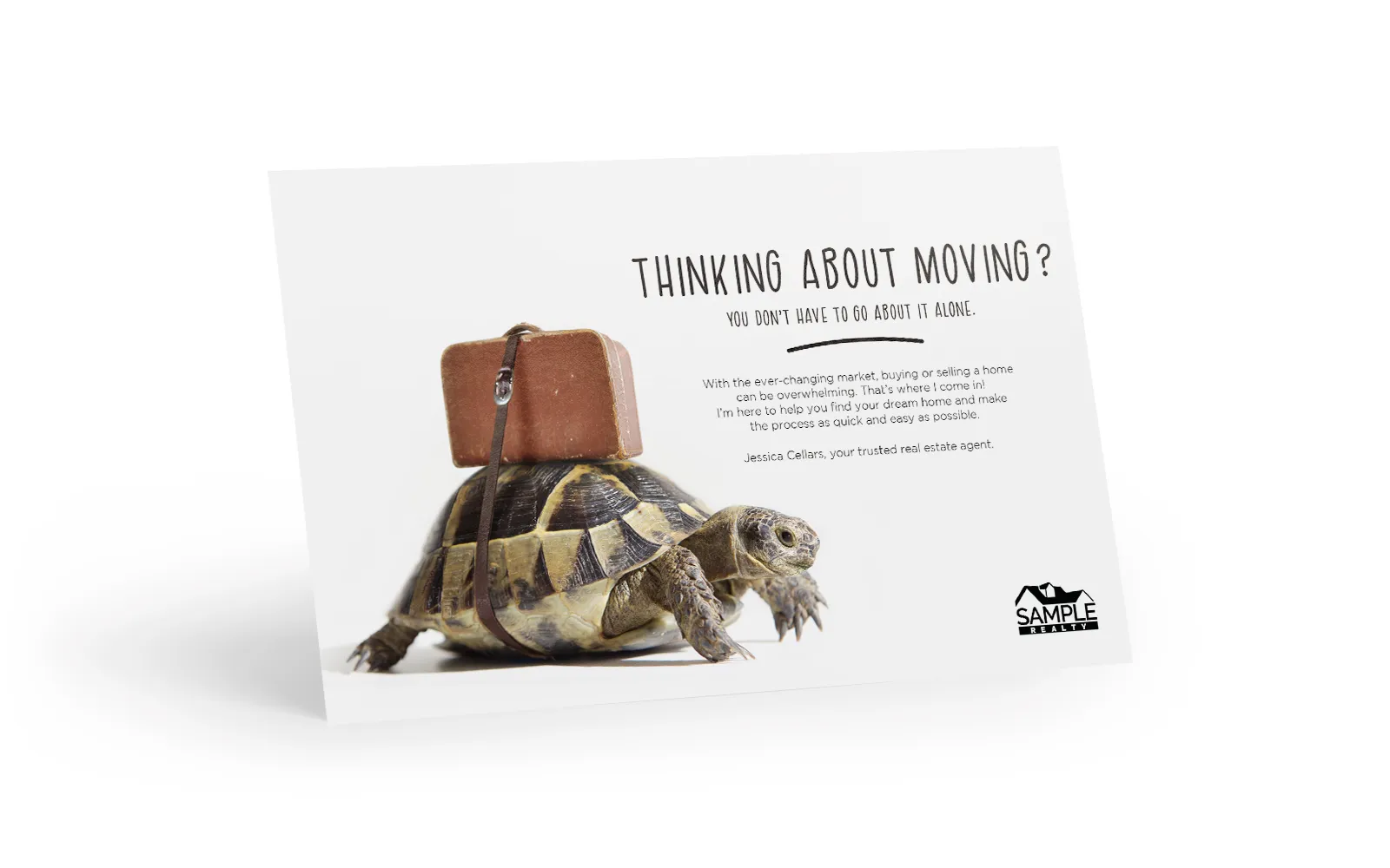 Bright Side Postcard -  The Relocating Turtle