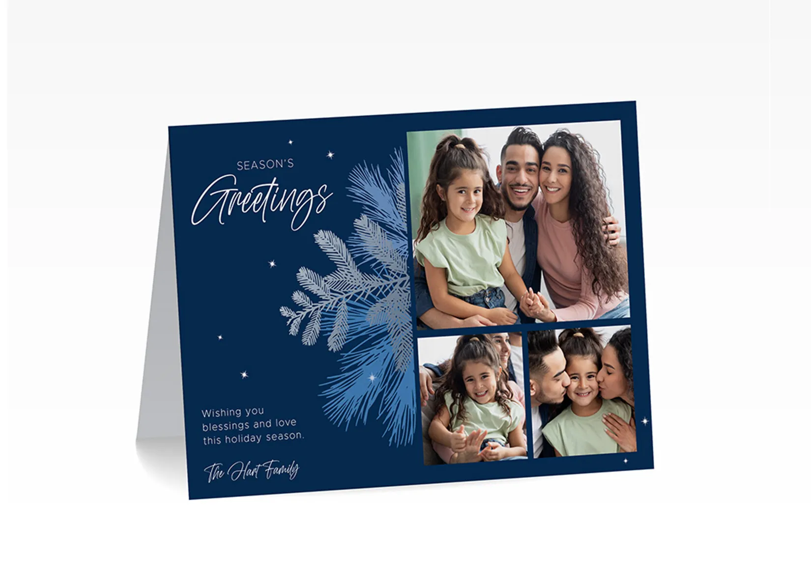 Holiday  Photo Note Card - Season's Greetings Blue Pine (Print Only)
