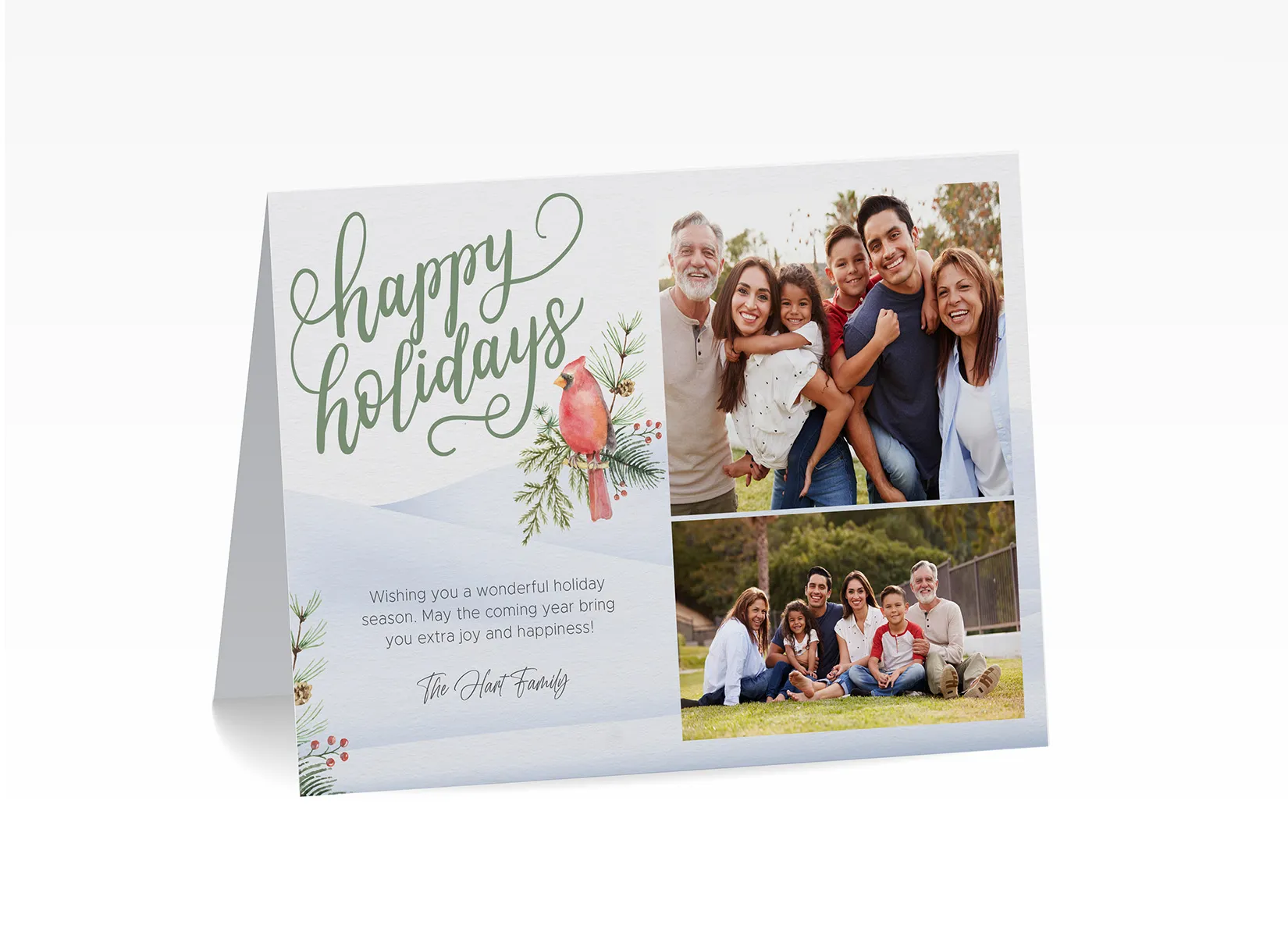 Holiday  Photo Note Card - Happy Holidays Cardinal (Print Only)
