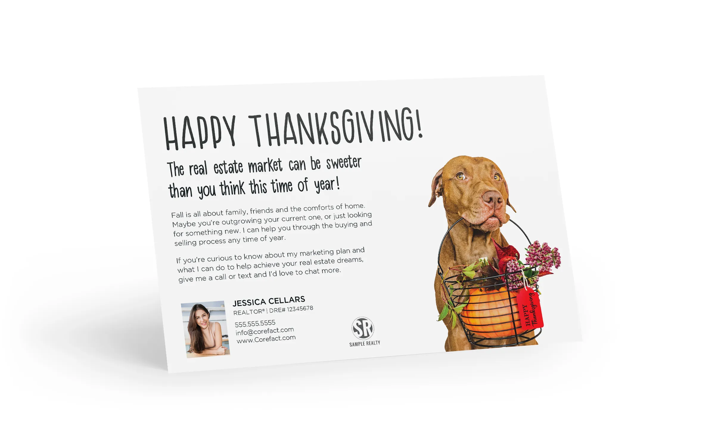 Bright Side Postcard - Happy Thanksgiving