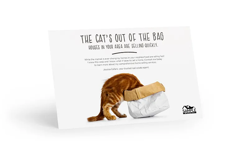 Bright Side Postcard - The Cat's Out Of The Bag