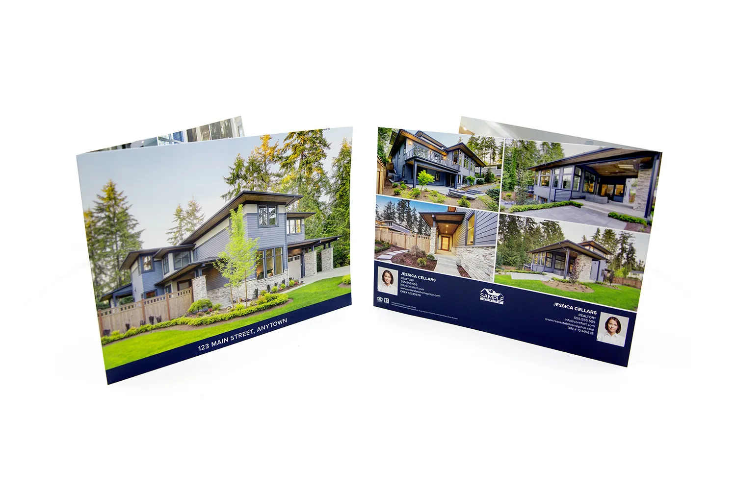 Brochure - Panoramic Fold (Team) <br> Modern Bold Collection