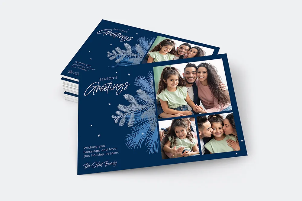 Holiday Photo Card <br>  Season's Greetings Blue Pine (Mailer)