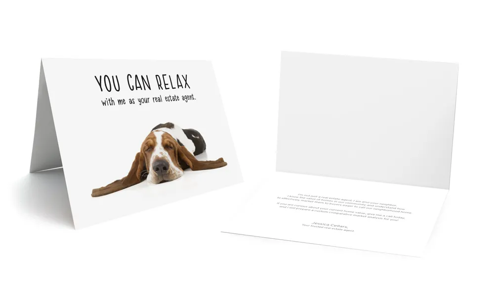 Note Card - Bright Side Relaxed Hound Dog